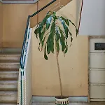 2 Bedroom Sol De Linda-a-velha Appartement *